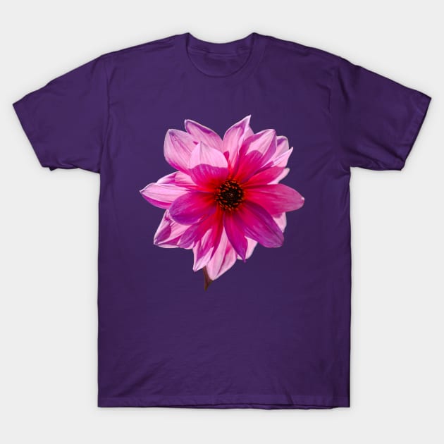 Dahlia flower T-Shirt by dalyndigaital2@gmail.com